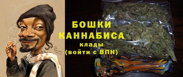 индика Остров